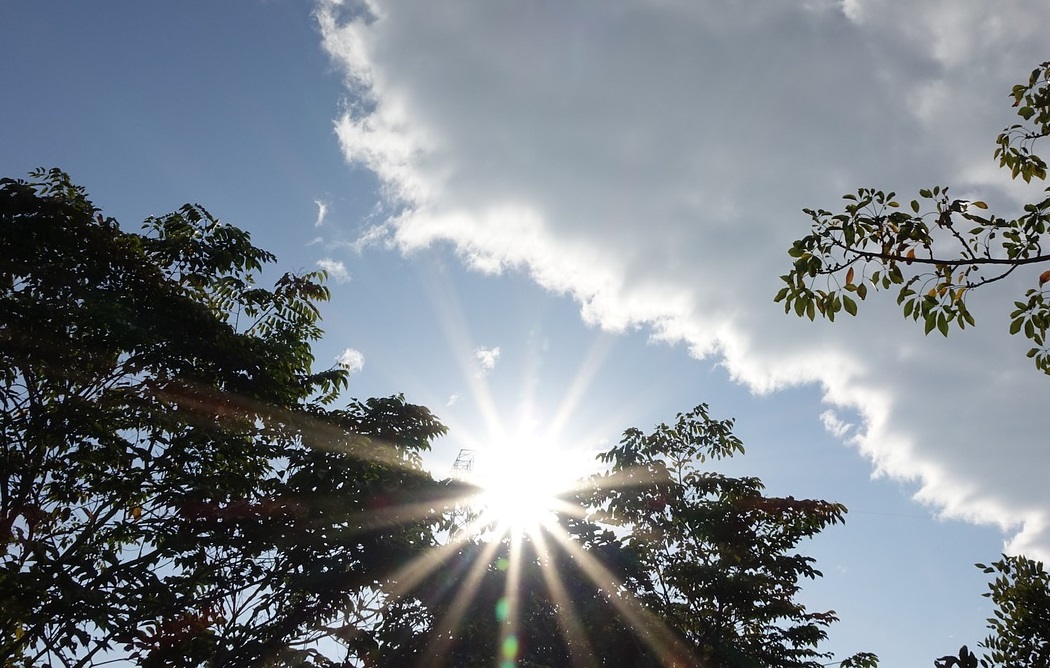 sunshine-1959978_1280.jpg sunshine-1959978_1280.jpg